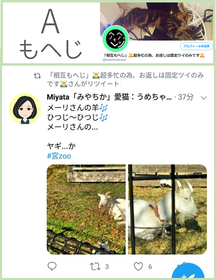 ツイッターマナー いいね Rtはその方のホームからって何だ